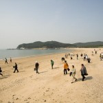 해변정화 활동중인 협회 및 회원사 임.직원